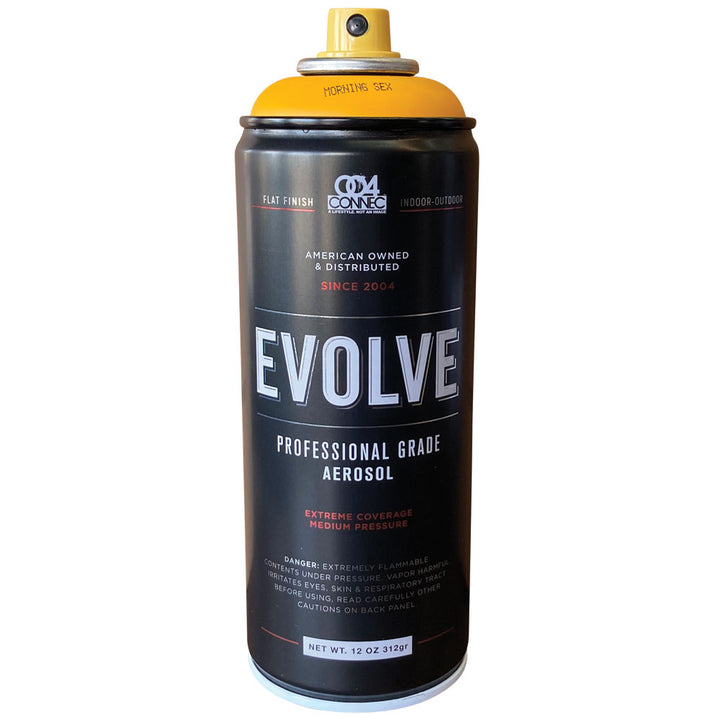 Evolve Paint